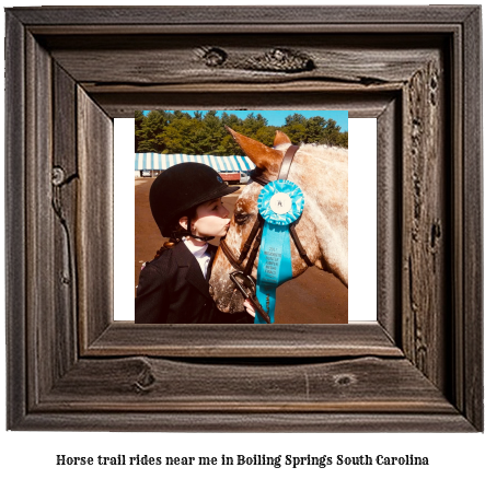 horse trail rides near me in Boiling Springs, South Carolina